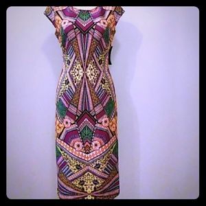 NWT New York & Company Pencil Dress